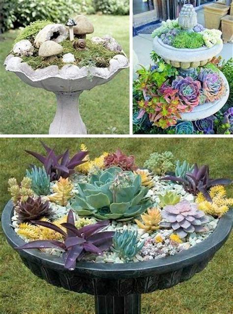 Birdbaths provide wild birds with fresh water and a safe place to bathe and drink. Ideas For Sedum Gardens In Bird Baths Pictures, Photos ...