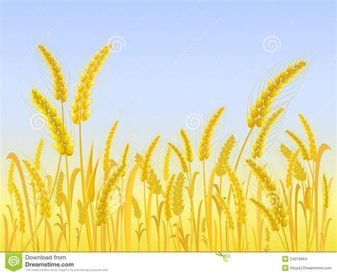 Wheat field clipart - Clipground