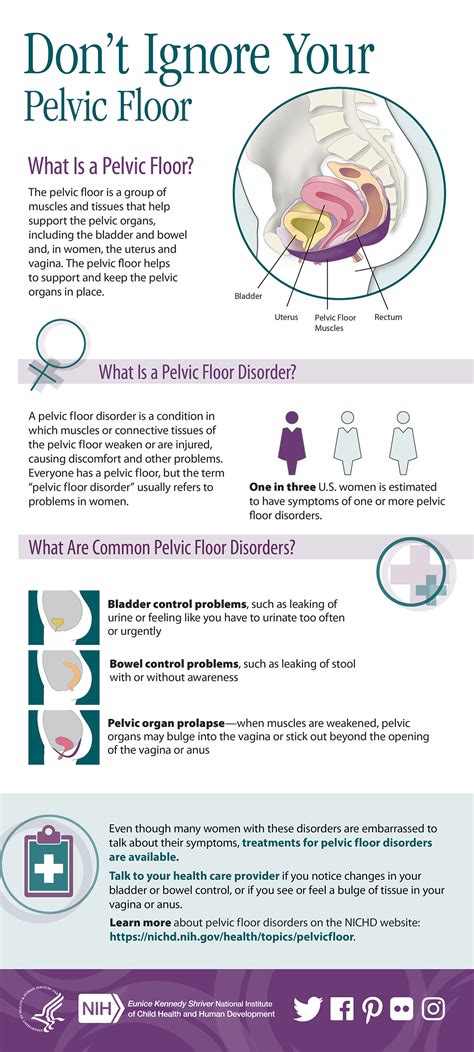 Pelvic Floor Physical Therapy Frequently Asked Questions Arizona