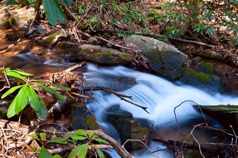 Small Waterfall In Creek Stock Image Image Of Blurred 21843405