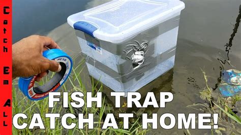 Fish Trap Bin Homemade Diy Fish Trap Catches Fish Youtube