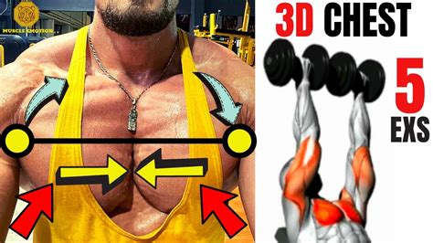 5 Best Chest Exercises With Dumbells Musculation Pecs Avec Halteres