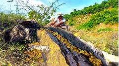 Sterling Mas Hidden Treasure Zillow Unveils Dream Homes You Never Expected