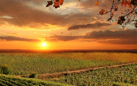 Picture Tuscany Italy Sun Autumn Nature Sky Fields 3840x2400