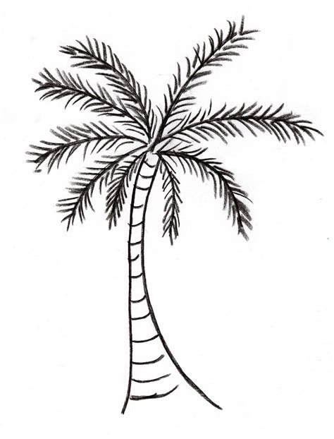 Palm Tree Coloring Pages For Kids Az Coloring Pages