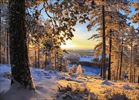 Winter Morning Finland By Valtteri Mulkahainen Via
