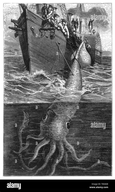 Giant Squid Attacking Ship Hi Res Stock Photography And Images Alamy