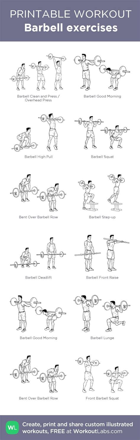 Barbell Exercises My Visual Workout Created At