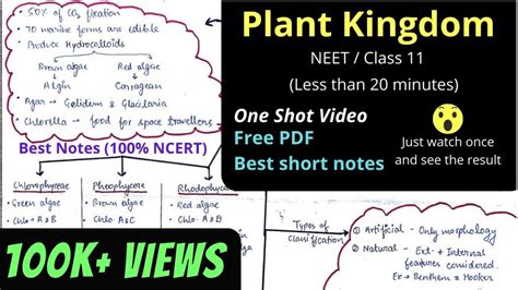 Plant Kingdom Class 11 Chapter 3 Best Quick Revision Neet One