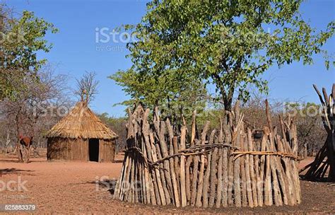 Corral And Mud Hut Himba Village Namibia Stock Photo Download Image