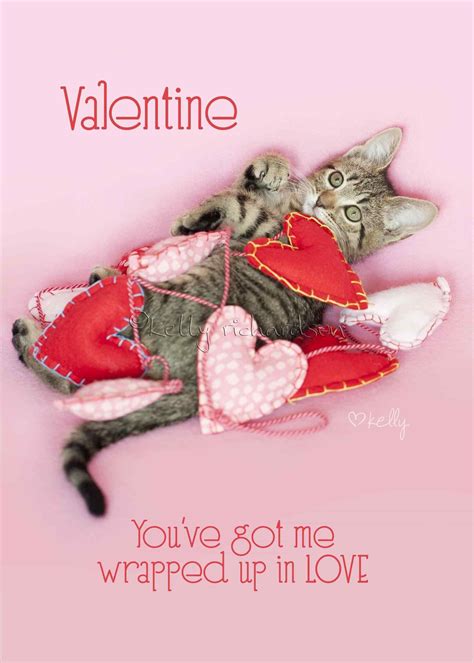 valentine kitties wallpapers wallpaper cave