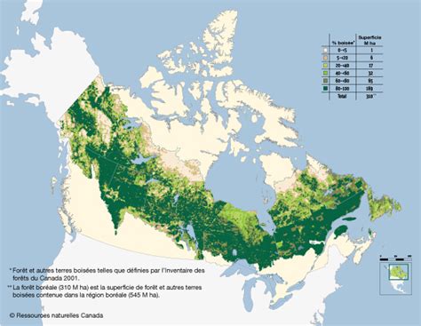 Quelle Portion De La Planète Et Du Canada Est Couverte De Forêt Boréale