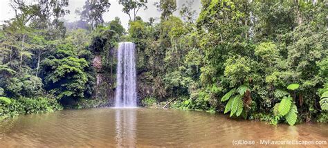 Cairns Waterfall Circuit Self Drive Itinerary With A Map To View