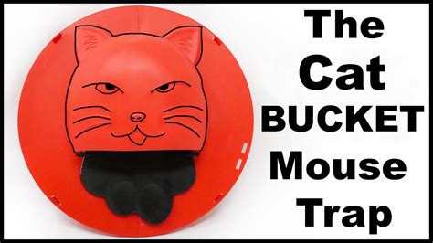 The Cat Bucket Catching 5 Mice In 1 Night Withthe Copy Cat Mouse Trap