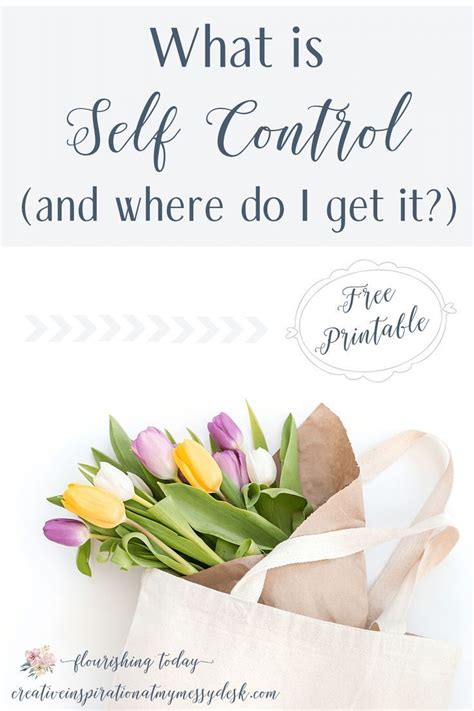 What Is The Definition Of Self Control Self Control Definition Of