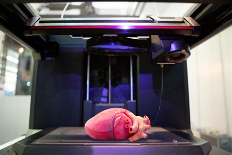 Researchers Find Solution To One Of 3d Printed Organs Biggest Problems