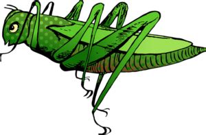 Apa Fungsi Trakea Dan Stigma Pada Sistem Pernapasan Serangga