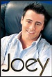 How many of you have seen Joey (TV Series). The show isn't liked as ...