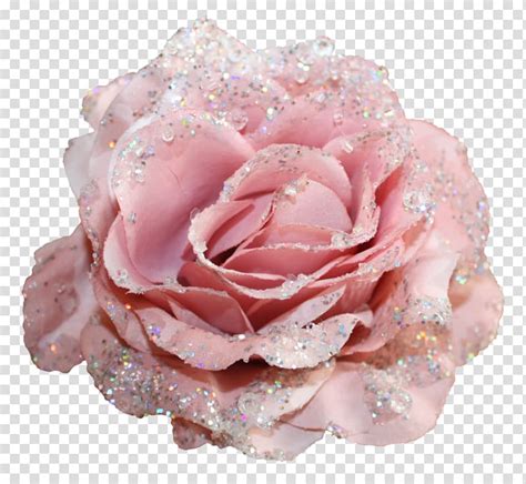 Pink Rose With Glitters Centifolia Roses Flower Glitter Textile Cloth