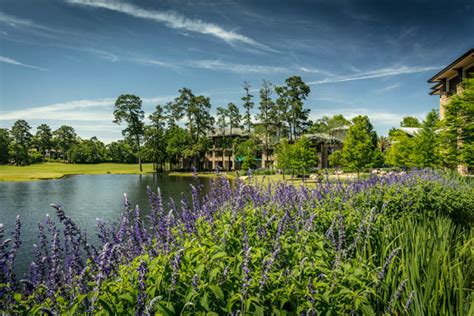 Things To Do In The Woodlands Tour Texas