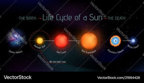 Life Cycle Of The Sun — Science Learning Hub Vlrengbr