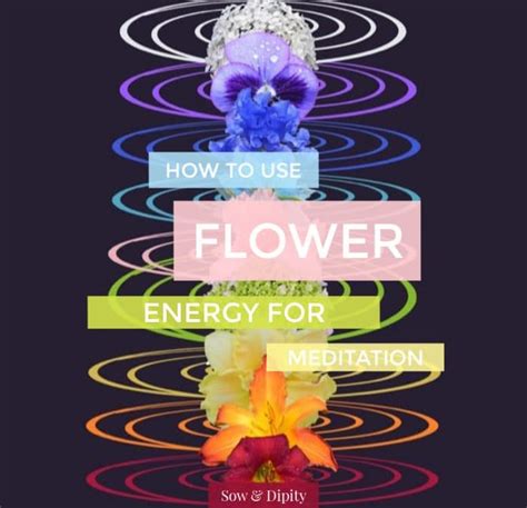 How To Use Flower Energy For Meditation Meditation Garden Whimsy
