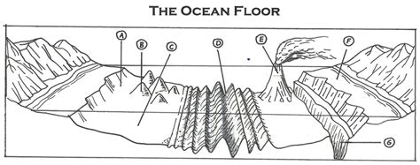 Ocean Floor Features Diagram Quizlet