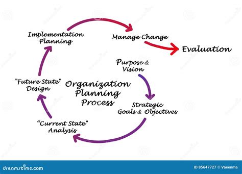 Organizational Planning Guide Types Of Plans Steps And