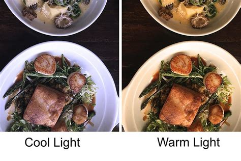 Want to know how to take better food pictures—especially better ones than martha stewart? Food Photography 101: How to Take Perfect Pictures of Your ...