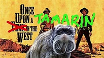 The 14 Greatest Monkey Movies Of All Time! – Rathergood