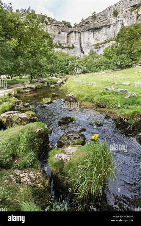 Malham Cove Limestone Scenery With River That Emerges From Cliff