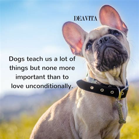 30 Dog Quotes And Sayings About Mans Best Friend