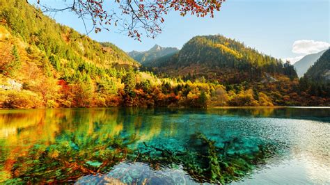 1920x1080 Forest Autumn Mountains Nature Reflection Trees Lake