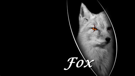 Demon Fox Fox Background Black Background Wallpaper Black And White