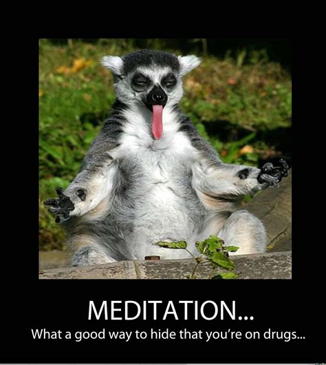 Best Meditation Memes Ever Made Me Lmao