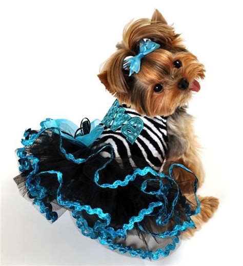 Fancy Dog Clothes Designer Custom Made Dog Clothing Tinkerbells