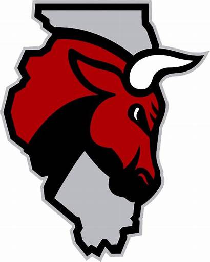 Bulls Windy Chicago Logos Alternate Secondary Basketball