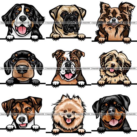 9 Dog Breed Peeking Peek A Boo Top Selling Color Designs Bundle Clipart