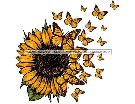 Beautiful Sunflower With Yellow And Black Butterflies Flying Off Of It Graphic Image Svg Vector