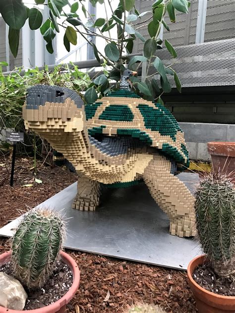 Colorful Lego Exhibit Returns To Lauritzen Gardens This Time With 12