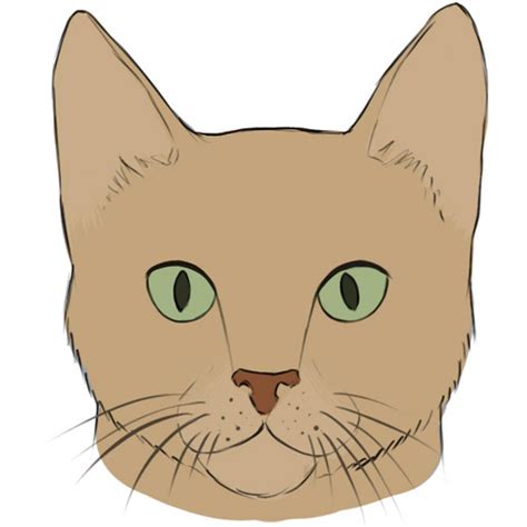 Easy Simple Cat Face Drawing Cat Whiskers Bodenewasurk