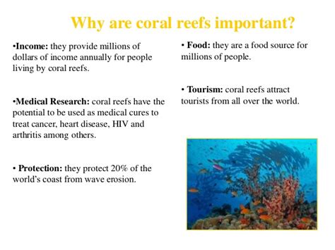 Healthy coral reefs have difficult surfaces and complicated constructions that dissipate a great deal of pressure of incoming waves as this buffers shores from currents, waves, and storms, assisting to stop loss of life, property damage, and erosion. Protection of habitat of corals