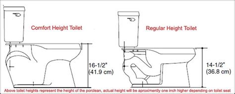 Toto Ultramax Ada Universal Height Toilet Toilet Review Guide