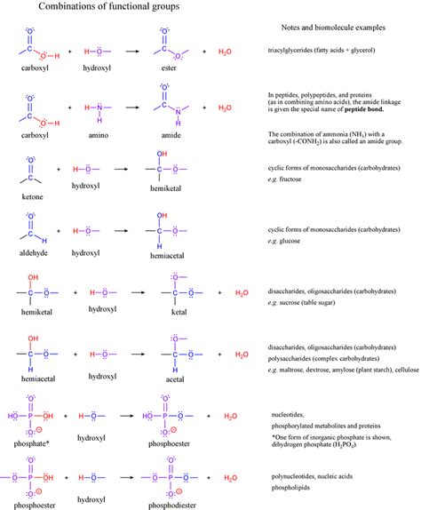 Chem 245 Functional Groups