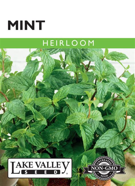 Mint Heirloom A Garden Center Duluth Minnesota Plants Trees