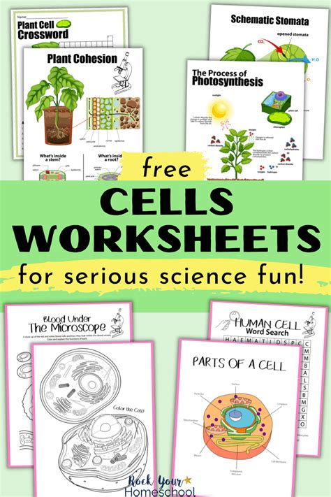 Free Cells Worksheets For Super Fun Science Activities For Kids Cells
