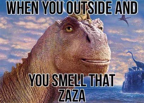 When You Outside And You Smell That Zaza Meme When You Outside And You Smell That Zaza