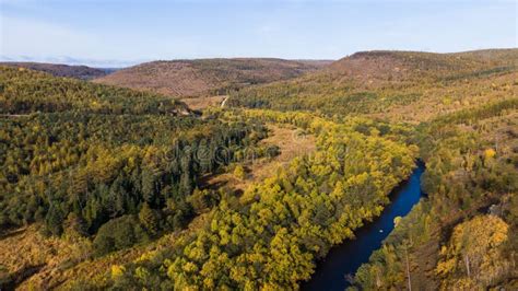 Top View Of The Taiga Forest River Road The Vast Expanses Of