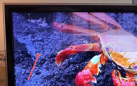 Samsung Tv Horizontal Lines On Screen Working Fix