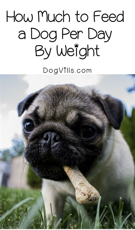 How Much To Feed A Dog Per Day By Weight Dog Food